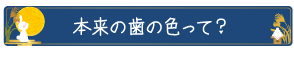 本来の歯の色って？