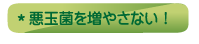 ＊悪玉菌を増やさない！