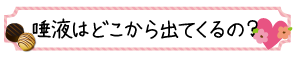 唾液はどこから出てくるの？