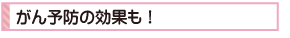 がん予防の効果も！