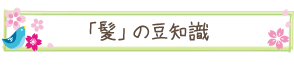 「髪」の豆知識