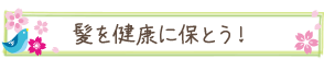 髪を健康に保とう！