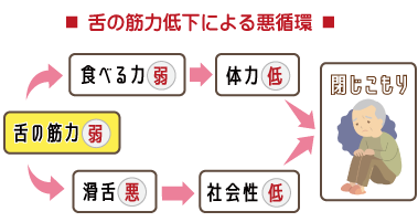 舌の筋力低下による悪循環