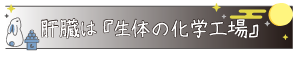 肝臓は『生体の化学工場』