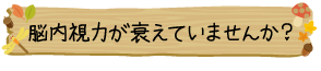 脳内視力が衰えていませんか？