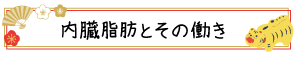 内臓脂肪とその働き