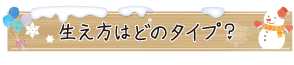 生え方はどのタイプ？