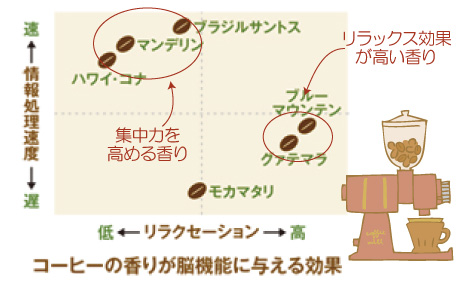 コーヒーの香りが脳機能に与える効果