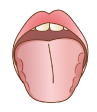 歯型がついた舌