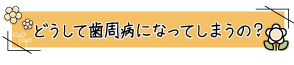 どうして歯周病になってしまうの？