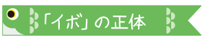 「イボ」の正体