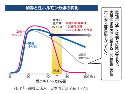 加齢と性ホルモン分泌の変化