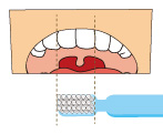 自分の口に合った歯ブラシ選び