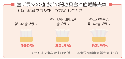 歯ブラシの植毛部の開き具合と歯垢除去率