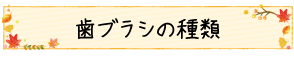 歯ブラシの種類