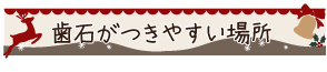 歯石がつきやすい場所