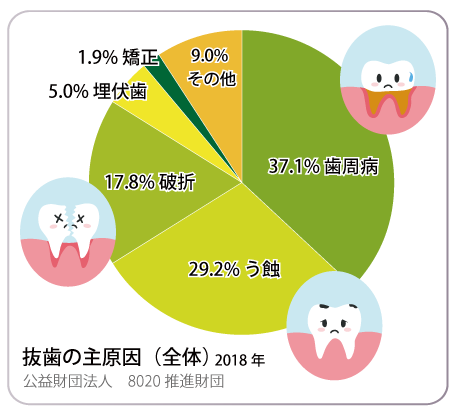 抜歯の主原因（全体）2018年－公益財団法人8020運動より