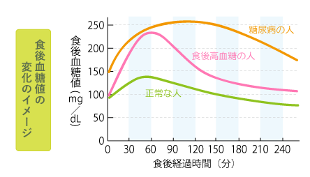 食後血糖値の変化のイメージ