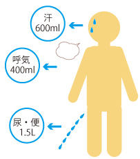 壱日に汗で600ml、呼気で400ml、尿と便で1.5l水分が排出されている図