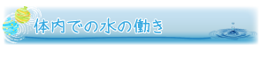 体内での水の働き