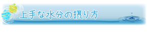 上手な水分の摂り方