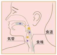 誤嚥が起こるしくみ