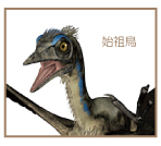始祖鳥には歯があった