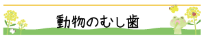 動物のむし歯