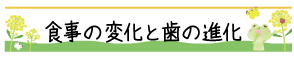 食事の変化と歯の進化