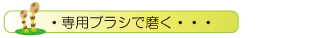 ・専用ブラシで磨く・・・