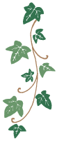 天然植物由来の原料
