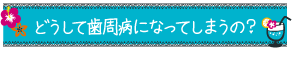 どうして歯周病になってしまうの？