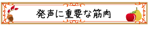 発声に重要な筋肉