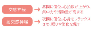 交感神経・副交感神経