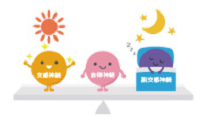 交感神経のバランス