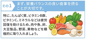 栄養バランス