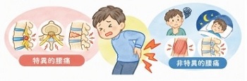 特異的腰痛と非特異的腰痛